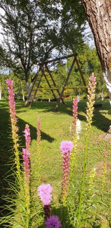 Holiday Home, Apartman Obajdin Слуни Екстериор снимка
